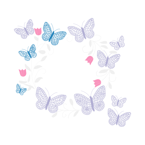 Pieridae Animals Pieridae Animals