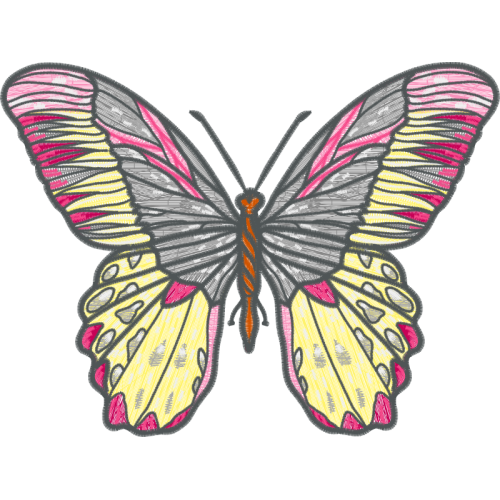 Pieridae Animals Pieridae Animals