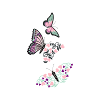 Pieridae Animals Pieridae Animals