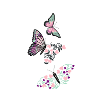 Pieridae Animals Pieridae Animals