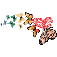 Pieridae Animals Pieridae Animals