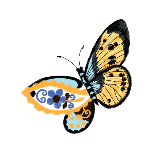 Pieridae Animals Pieridae Animals