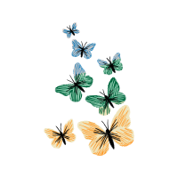 Pieridae Animals Pieridae Animals