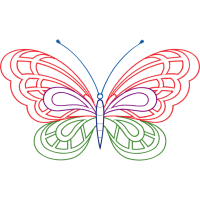 Pieridae Animals Pieridae Animals