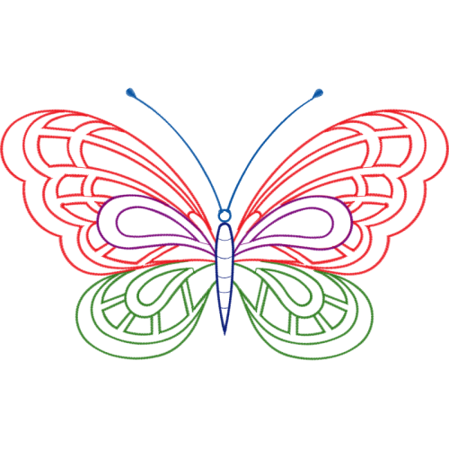 Pieridae Animals Pieridae Animals