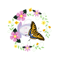 Pieridae Animals Pieridae Animals