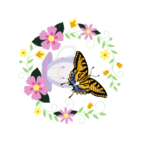 Pieridae Animals Pieridae Animals