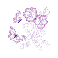 Pieridae Animals Pieridae Animals