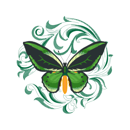 Pieridae Animals Pieridae Animals