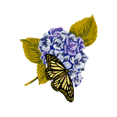 Pieridae Animals Pieridae Animals