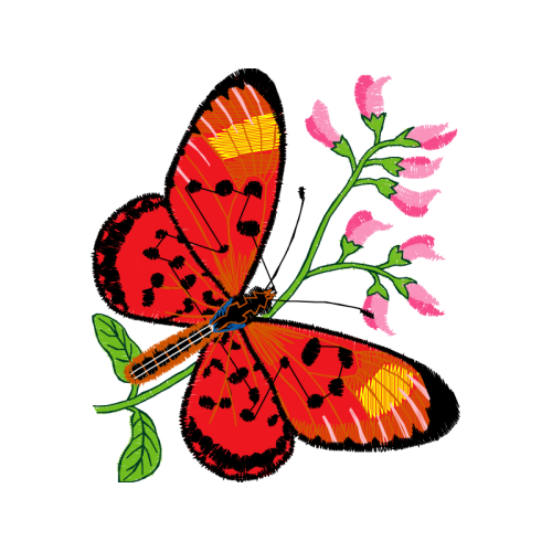 Pieridae Animals Pieridae Animals