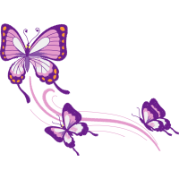 Pieridae Animals Pieridae Animals