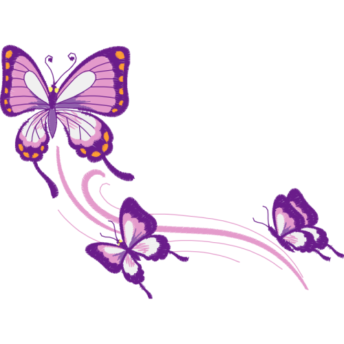 Pieridae Animals Pieridae Animals