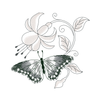 Pieridae Animals Pieridae Animals