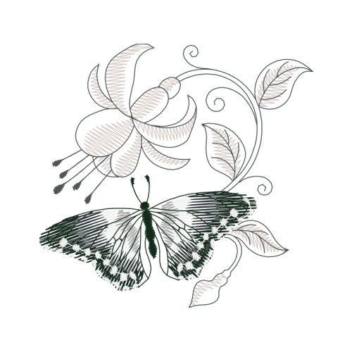 Pieridae Animals Pieridae Animals