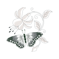 Pieridae Animals Pieridae Animals