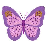 Pieridae Animals Pieridae Animals