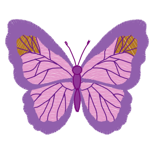 Pieridae Animals Pieridae Animals