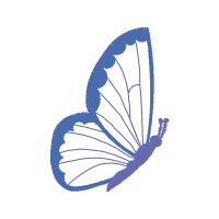 Pieridae Animals Pieridae Animals