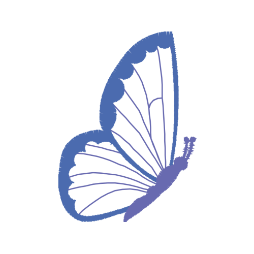 Pieridae Animals Pieridae Animals