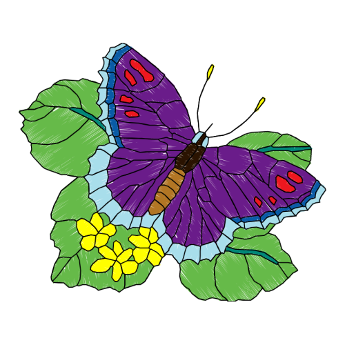 Pieridae Animals Pieridae Animals