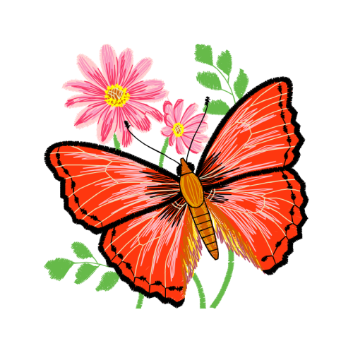 Pieridae Animals Pieridae Animals