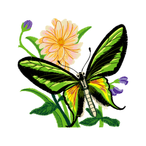 Pieridae Animals Pieridae Animals