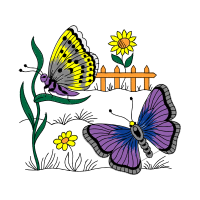 Pieridae Animals Pieridae Animals