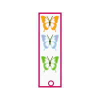 Pieridae Animals Pieridae Animals