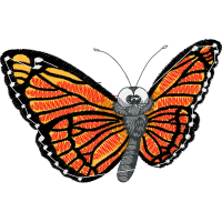 Pieridae Animals Pieridae Animals