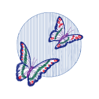 Pieridae Animals Pieridae Animals