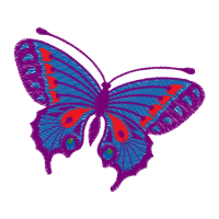 Pieridae Animals Pieridae Animals