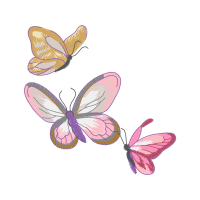 Pieridae Animals Pieridae Animals