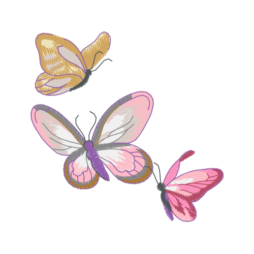 Pieridae Animals Pieridae Animals