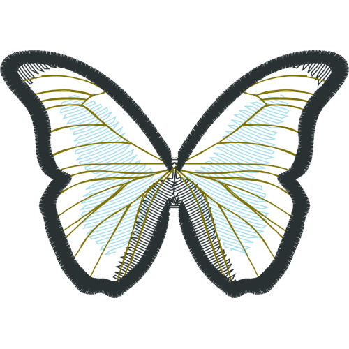 Pieridae Animals Pieridae Animals