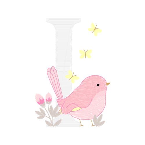 Pieridae Animals Pieridae Animals