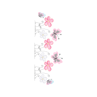 Pieridae Animals Pieridae Animals