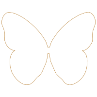 Pieridae Animals Pieridae Animals