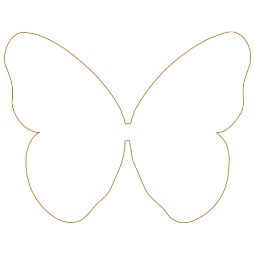 Pieridae Animals Pieridae Animals