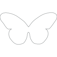 Pieridae Animals Pieridae Animals