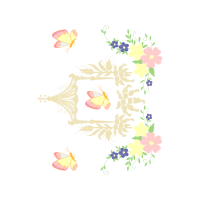 Pieridae Animals Pieridae Animals