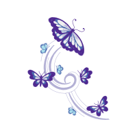 Pieridae Animals Pieridae Animals