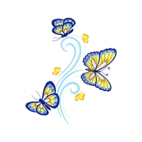 Pieridae Animals Pieridae Animals