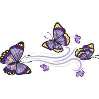 Pieridae Animals Pieridae Animals