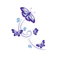 Pieridae Animals Pieridae Animals