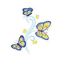 Pieridae Animals Pieridae Animals