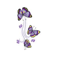 Pieridae Animals Pieridae Animals