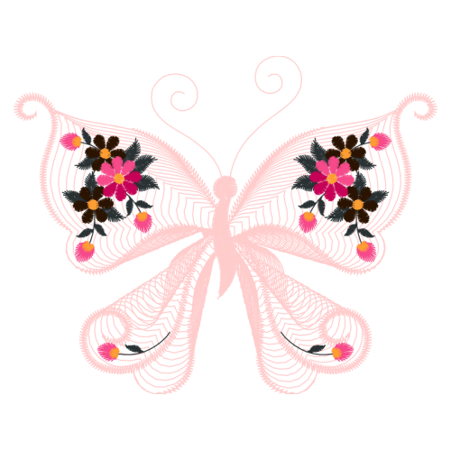 Pieridae Animals Pieridae Animals