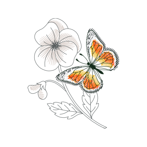 Pieridae Animals Pieridae Animals