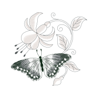 Pieridae Animals Pieridae Animals